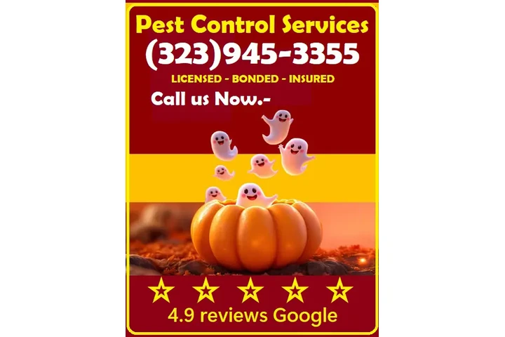 FUMIGACIONES 🎃 🦇 HALLOWEEN.- image 3