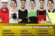 ¿Buscas empleo? en Trenton