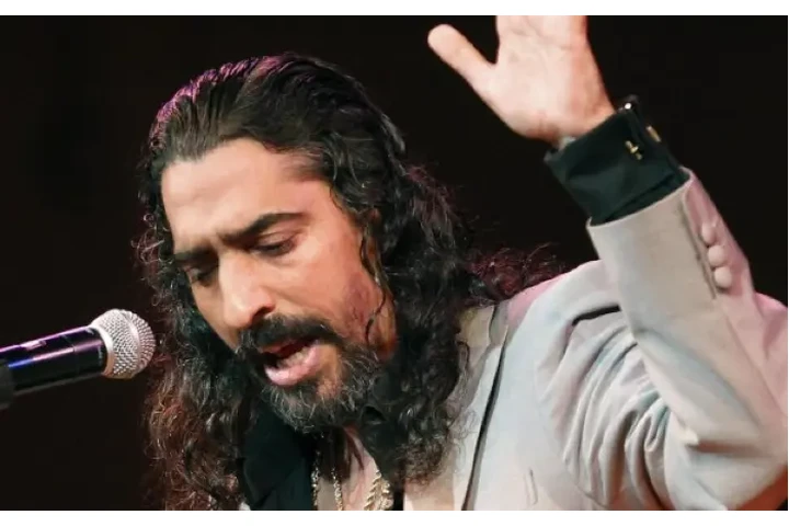 ENSEÑANZA RÁPIDA DE CANTO image 1