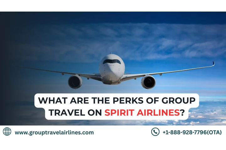 Spirit Airlines Group Booking image 1
