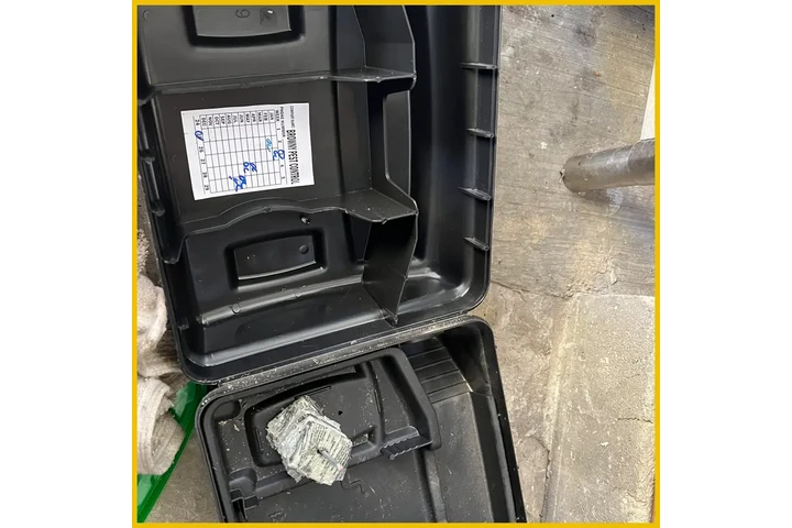 Browny Pest Control image 3