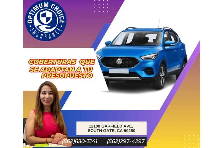 AUTO INSURANCE Y REGISTRACIONE image 1