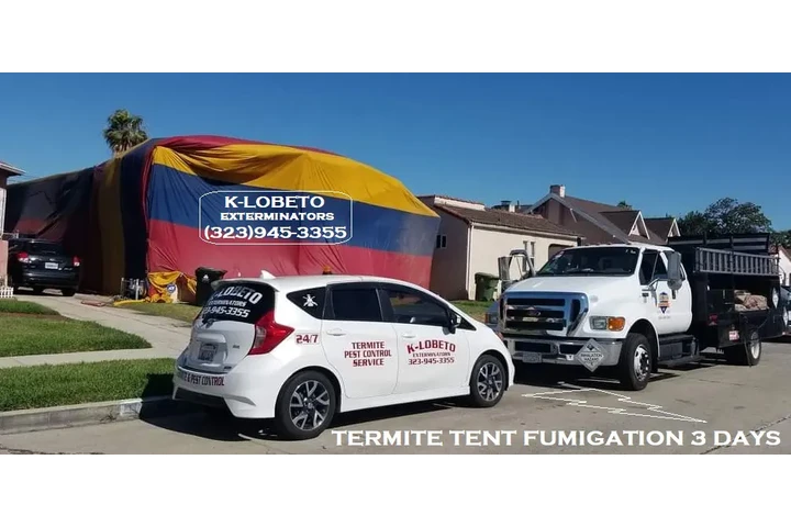 Fumigations - New Year 2026 image 9