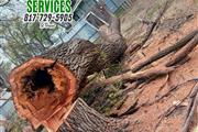 TREE SERVICE 🌳 🔺20 y XP thumbnail