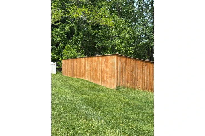 LANDSCAPING SERVICES image 7