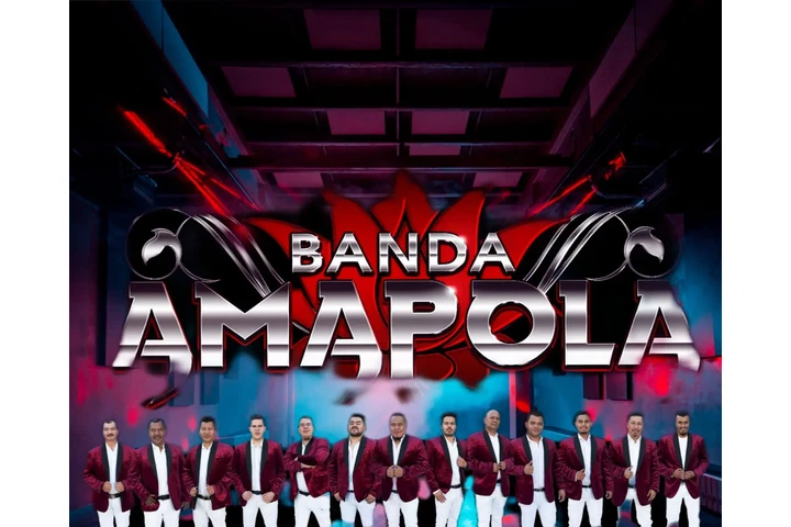 Banda Amapola 310 848 5200 image 1