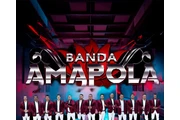 Banda Amapola 310 848 5200