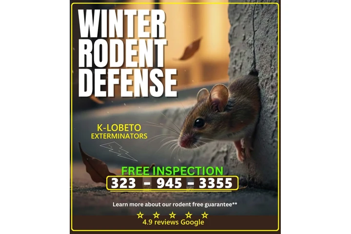 COMMERCIAL FUMIGATION 24/7.- image 5