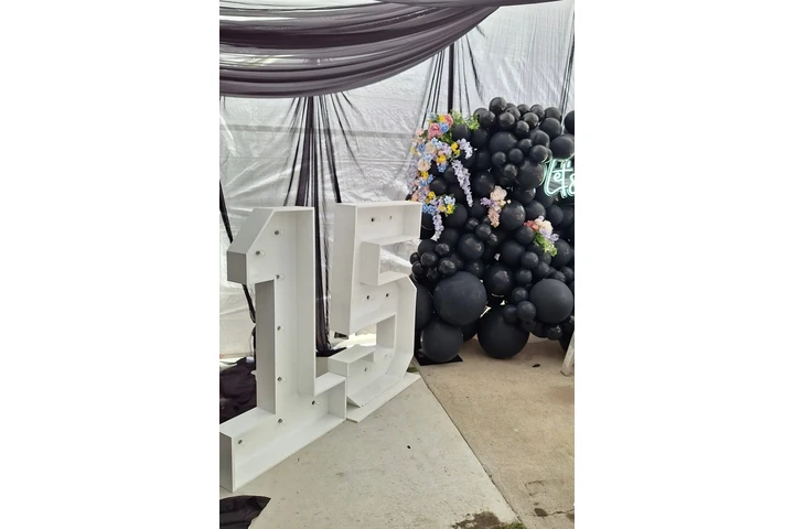 Draping-marquee numbers image 6