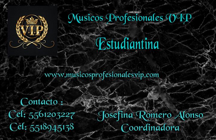 Músicos Profesionales VIP image 5