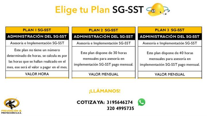 IMPLEMENTACIÓN DE SG-SST image 3