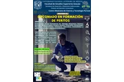 DIPLOMADO FORMACION DE PERITOS en Mexico DF