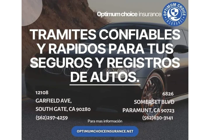 AUTO INSURANCE Y REGISTRACION image 1