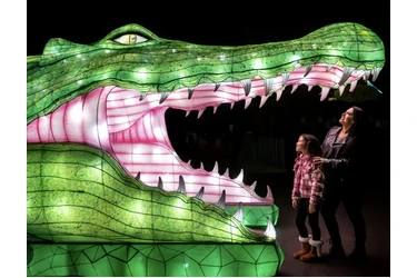 🦁✨ L.A. ZOO Lights: Animals A en Los Angeles