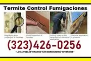 PEST TERMITE CONTROL. thumbnail