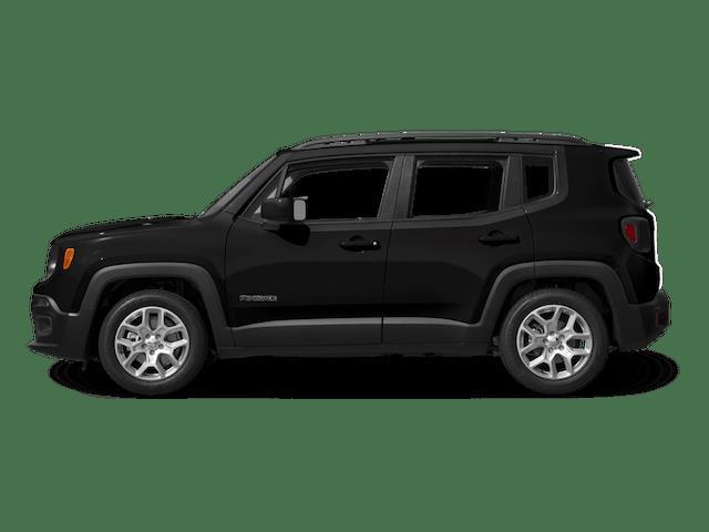 2015  Renegade Limited image 10