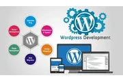 Best WordPress Development en New York