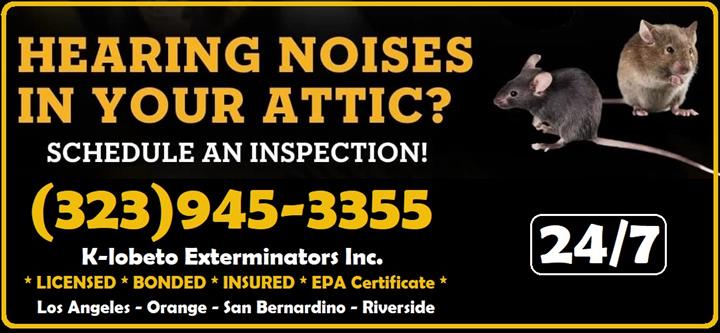RODENT CONTROL & REPAIRS 24/7. image 2