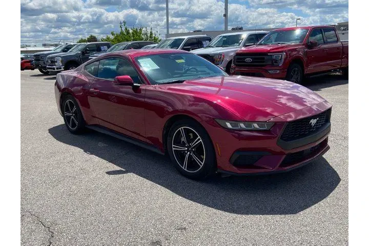 $37790 : Ford Mustang 2025 EcoBoost P image 2