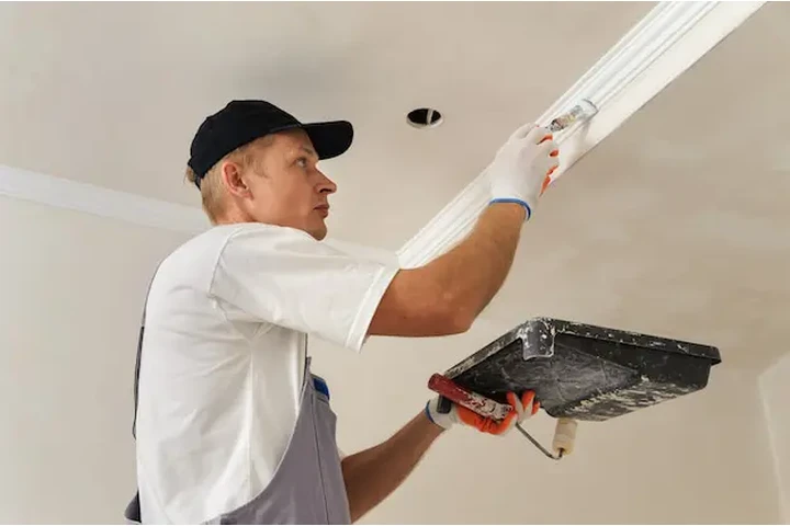 Limpieza, pintura y roofing. image 6