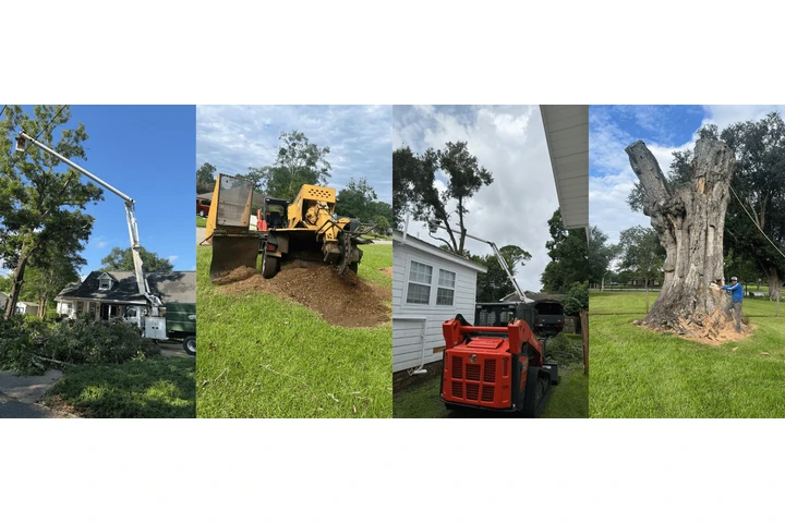 Solution Tree Services LLC image 2