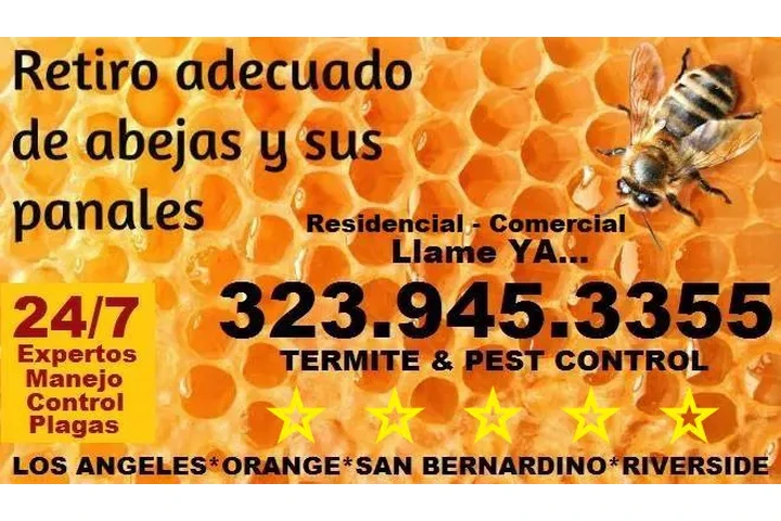 FUMIGACIONES SANTA ANA 24/7.- image 10