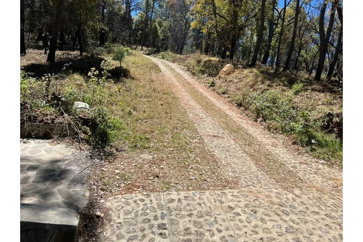 Terreno Turístico Ecológico image 2