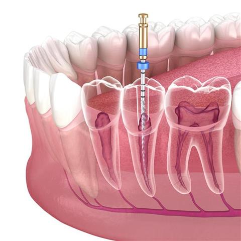 Affordable Dentist image 3