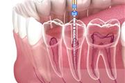 Affordable Dentist thumbnail 3