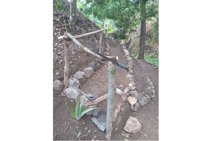 $299444 : Salitral Costa Rica Land Sale image 3