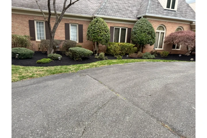 🌲LANDSCAPING SERVICES🌲 image 2