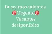 Asesor comercial
