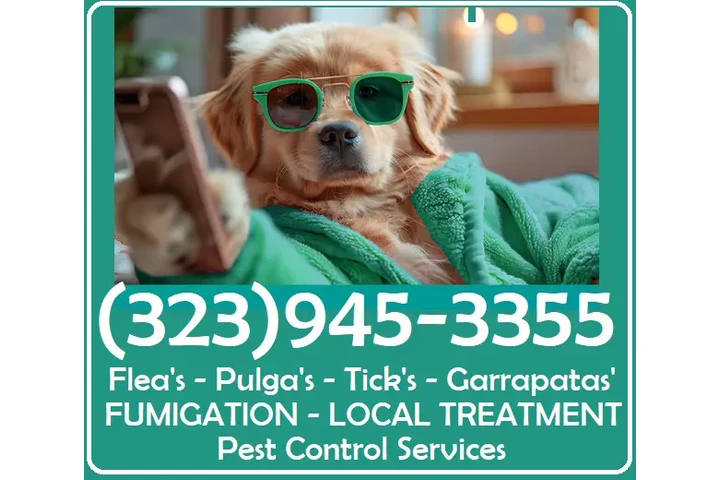 PEST CONTROL NEAR ME 24/7.- image 7