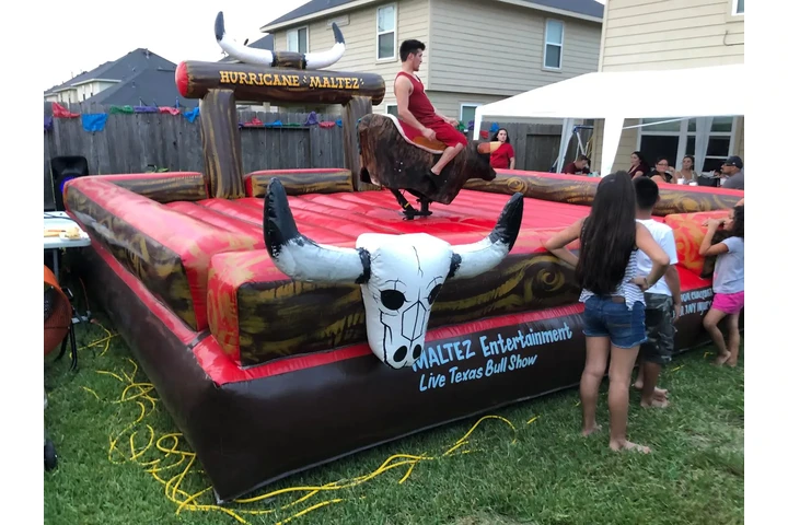 Maltez Entertainment image 7