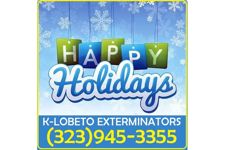 "Fumigaciones Accion Gracias" image 2