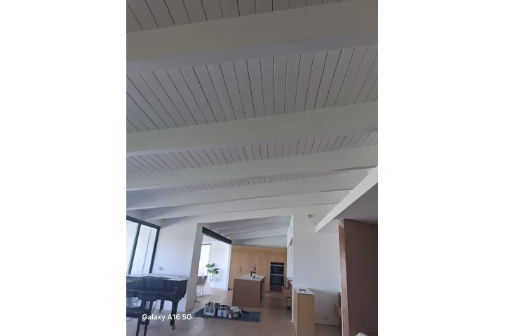 Sera Painting Services image 2