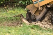 Your Yard, Our Expertise! thumbnail