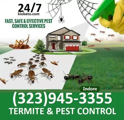 FUMIGACIONES 24/7 TERMITE-PEST image 6