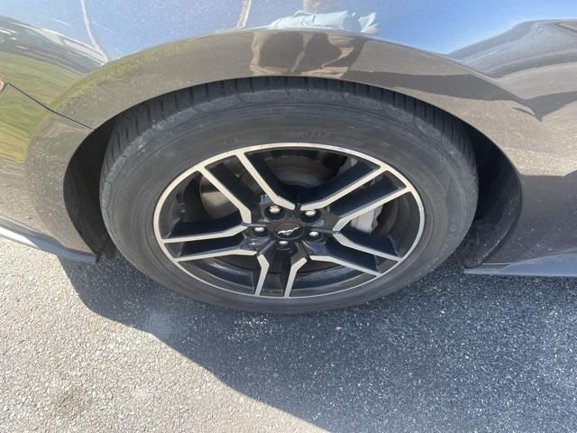 $29998 : PRE-OWNED 2019 FORD MUSTANG G image 2