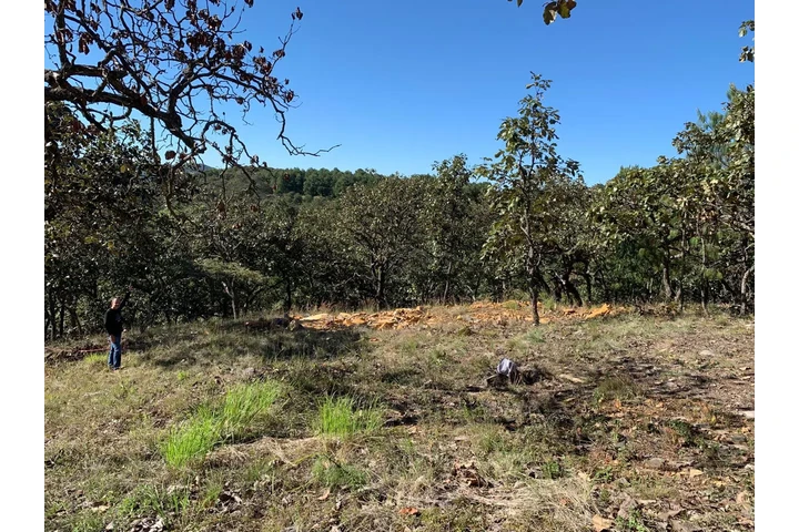 $850000 : Terreno Sierra Mazati image 6