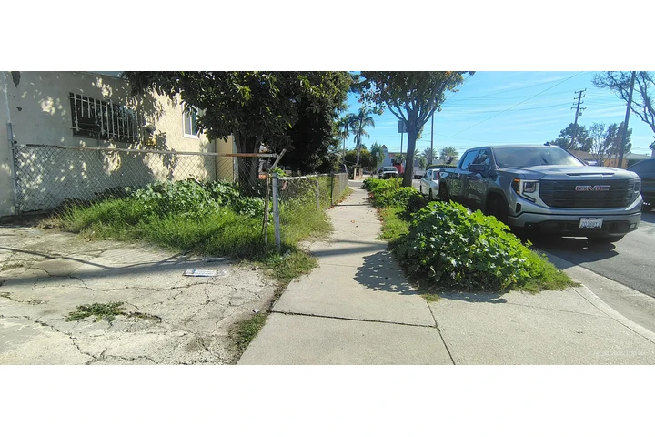 Corte de pasto 🏡$35 image 4