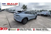 Ford Mustang Mach-E 2024 Pre