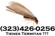 CONTROL TERMITAS (323)426-0256 thumbnail