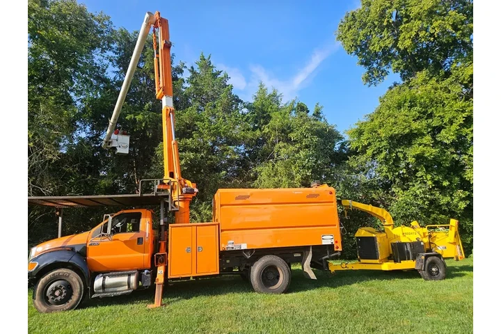 Professional Tree &Landscaping image 8