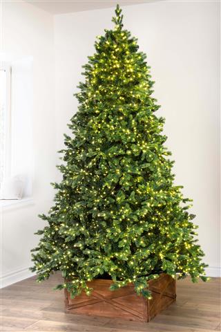 $250 : Christmas trees for sale image 2