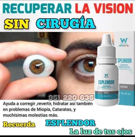 ¿Problemas de Salud Visual? image 1