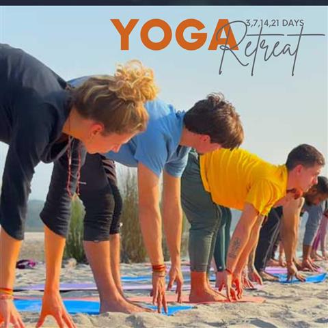 Yoga Teacher Training in India image 10