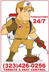 Fumigaciones #1 Termitas 24/7 image 2