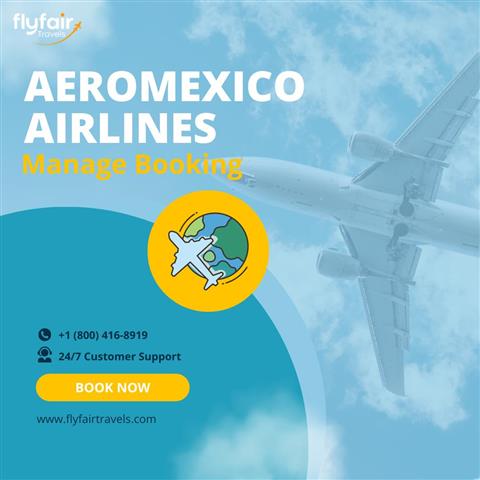 Aeromexico Manage Bookings image 2