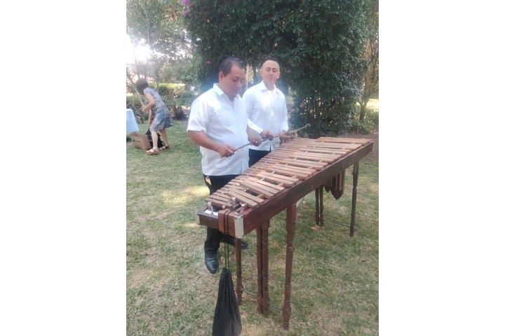 MARIMBA $2,600 X 2 HORAS image 2